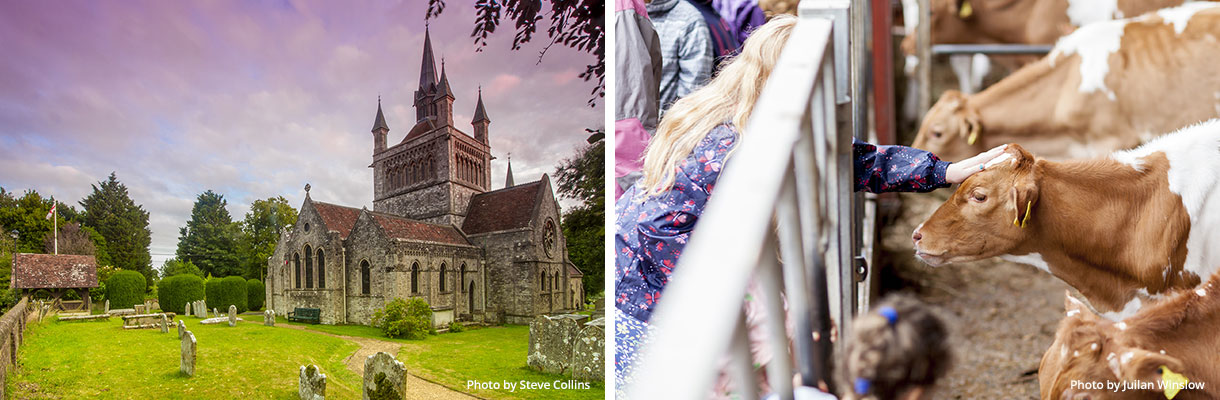 Slow Travel Guide to the Isle of WIght